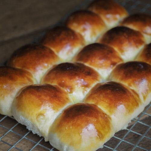 oatmeal dinner rolls