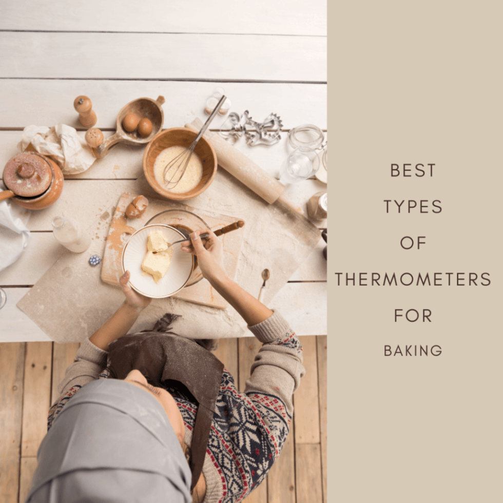 Best Types of Thermometers for Baking Best Baking Tips